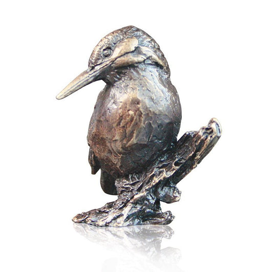 Kingfisher Bronze