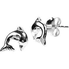 Silver Dolphin Stud Earrings